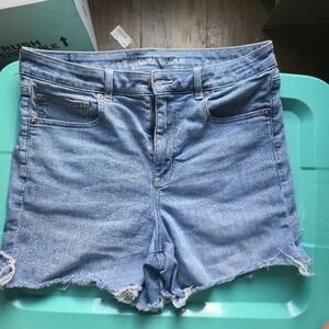 American Eagle Outfitters Light Blue Denim Shorts